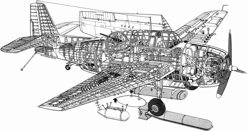 Grumman TBF Avenger (Foto: Rodolfo Hauck)